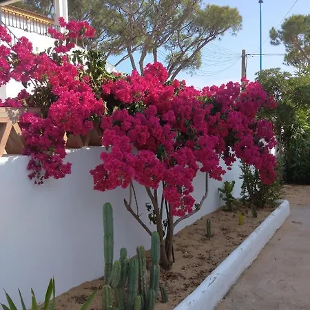 Casa Playa De Holiday home